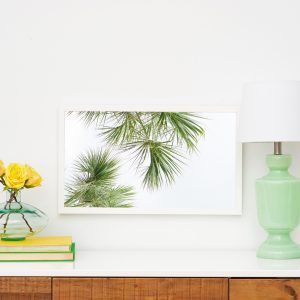 CC & Mike cc+mike LIFESTYLE BLOG & PRINT SHOP LAUNCH & GIVEAWAY 20