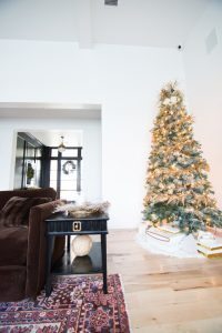 CC & Mike Deck The Halls Christmas Tour - CC and Mike's Christmas Living Room Decor 7