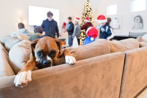 CC & Mike Hayneedle Home Christmas 12