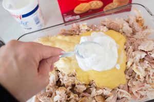 best-chicken-poppyseed-casserole-recipe