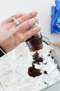 Quick and Easy Oreo Madness Dessert Recipe-21