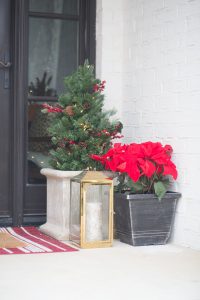 Holiday Decor Favorites from Home Depot