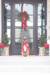 Home for the Holidays Christmas Decor Tour