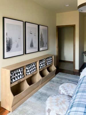 storage bin bookcase